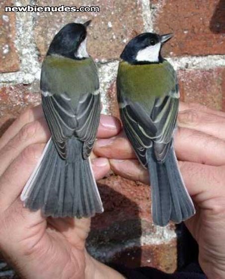 Okay, so it's not my photo, but still, those sure are some nice tits!