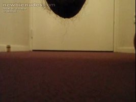 Carpet pee
