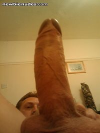 now back to the cock ;)