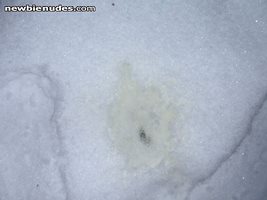 My pee in the snow
