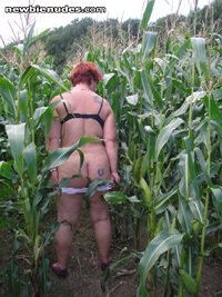 A walk in the maize