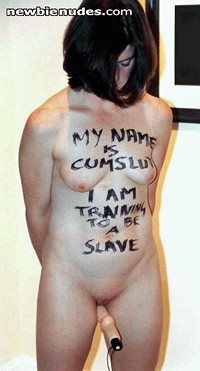 willing slave