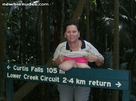 Squashed tit Curtis falls Mt Tamborine