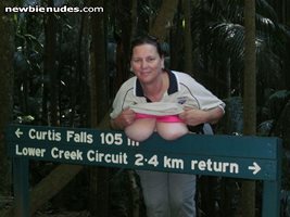 Curtis falls Mt Tamborine