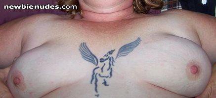 Now you know where the pegasus comes from lol