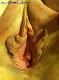 the wife wanting me to eat her pussy
