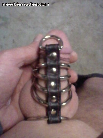 need a dog collar