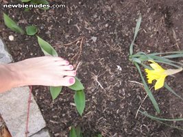 Fresh pedicure and the feeling of the earth on my feet- joys of spring! Mrs...