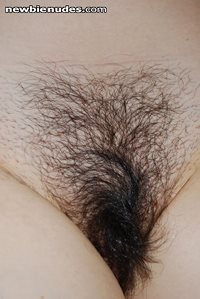 asian silky pubes....unlike any other!