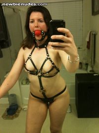 Fat cow in a harness and gag.