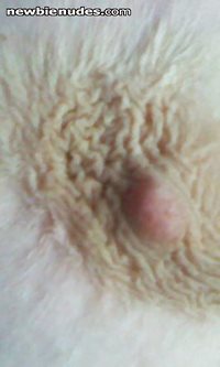 Woke with errect nipples...just need someone to suck them now
