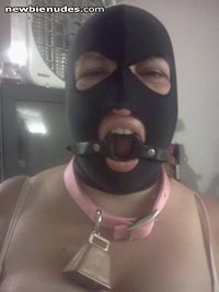 "o" ring gag, hood, collar w/cow bell