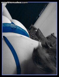 Blue panties