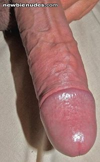 my hard and veiny uncut cock for you