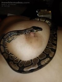 Wife with snake