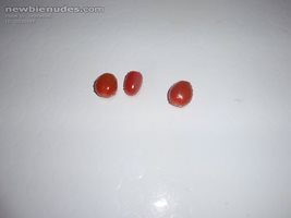 Pissing on tomatoes after someone asked for it :)
