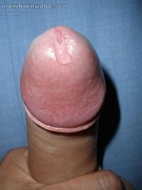 my cock!!!!