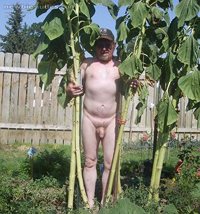 nude gardening