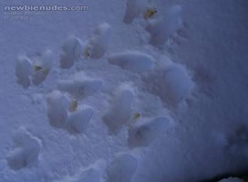 Me and 4 girls pissed in deep snow at ski resort
