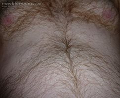 Like my hairy chest