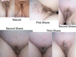 Stages of the shave.