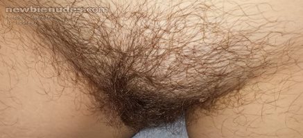 Close up of wifeys hairy and musky pussy.