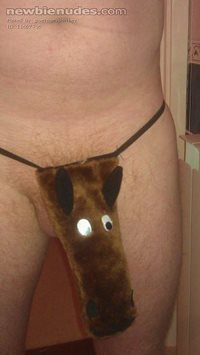 Donkey dick