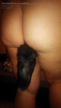 Foxy tail butt plug - I love to see it!