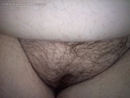 more of my sexy hairy bbw wife. she luvs tributes!!