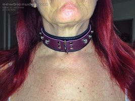 Better pic of my collar.  I am becoming more comfortable in it everytime i ...