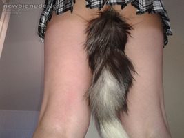 my new tail toy