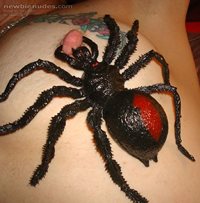 intsey witsey spider