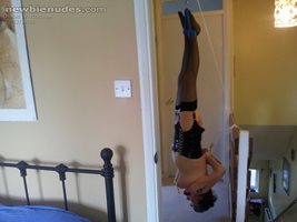 inverted bitch hung by her ankles