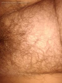 My wife's delicious hairy pussy