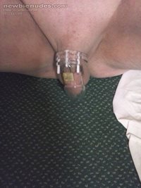 Locked in a cock cage