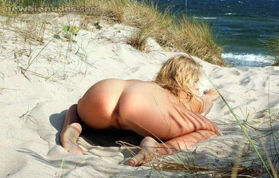 love getting doggie in the sand