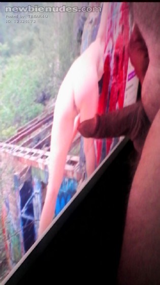 A Special Tribute for Sassypants