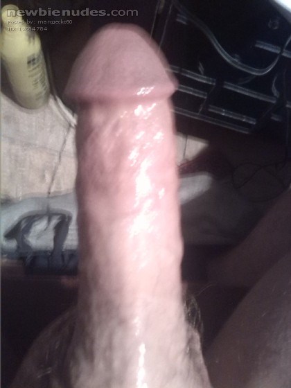 My Cock