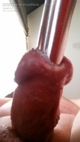 17mm never felt so good