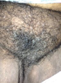 Hairy pussy