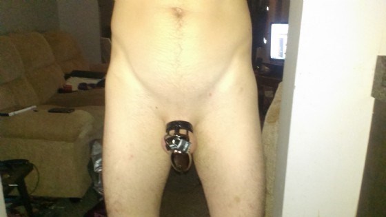 Obedient pet all locked up....