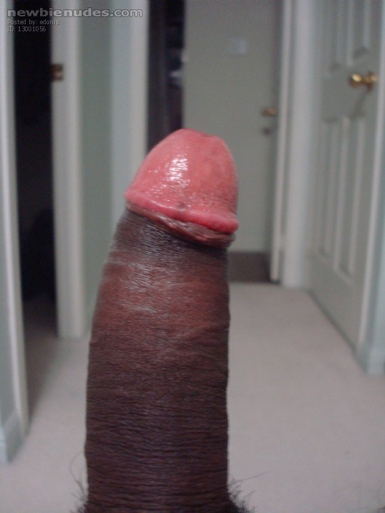 Island BBC.....Ladies any takers?