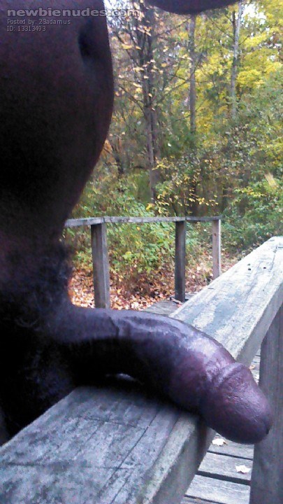 walking in the woods.