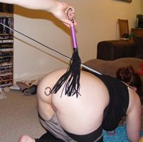 Pet play- obedience