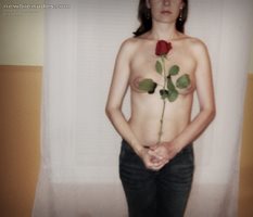 Topless rose...