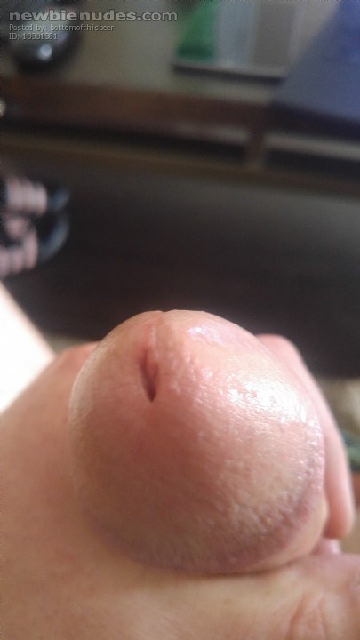 The head of my cock wet from girlcurious78