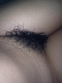 How many guys still like hairy bush? What do you think of her?