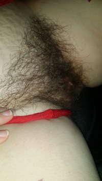 Hairy pussy from bedford