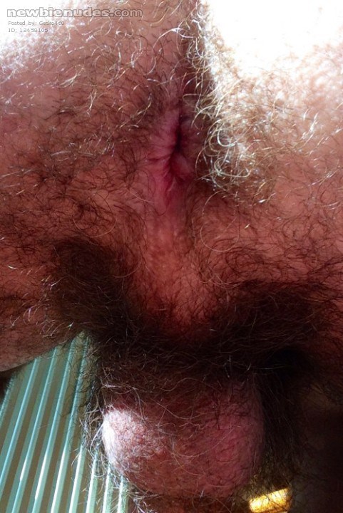 My hairy asshole