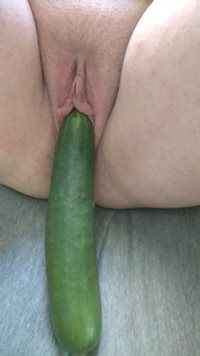 Getting ready to fuck myself with this big cucumber